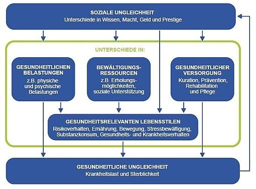 Flussdiagramm zu sozialer Ungleichheit mit den Bereichen gesundheitliche Belastungen, Bewältigungsressourcen, gesundheitliche Versorgung, gesundheitsrelevante Lebensstile und deren Einfluss auf gesundheitliche Ungleichheit